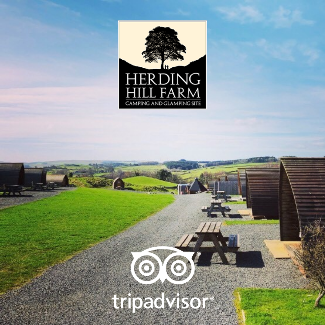 Herding Hill Farm Tripadvisor